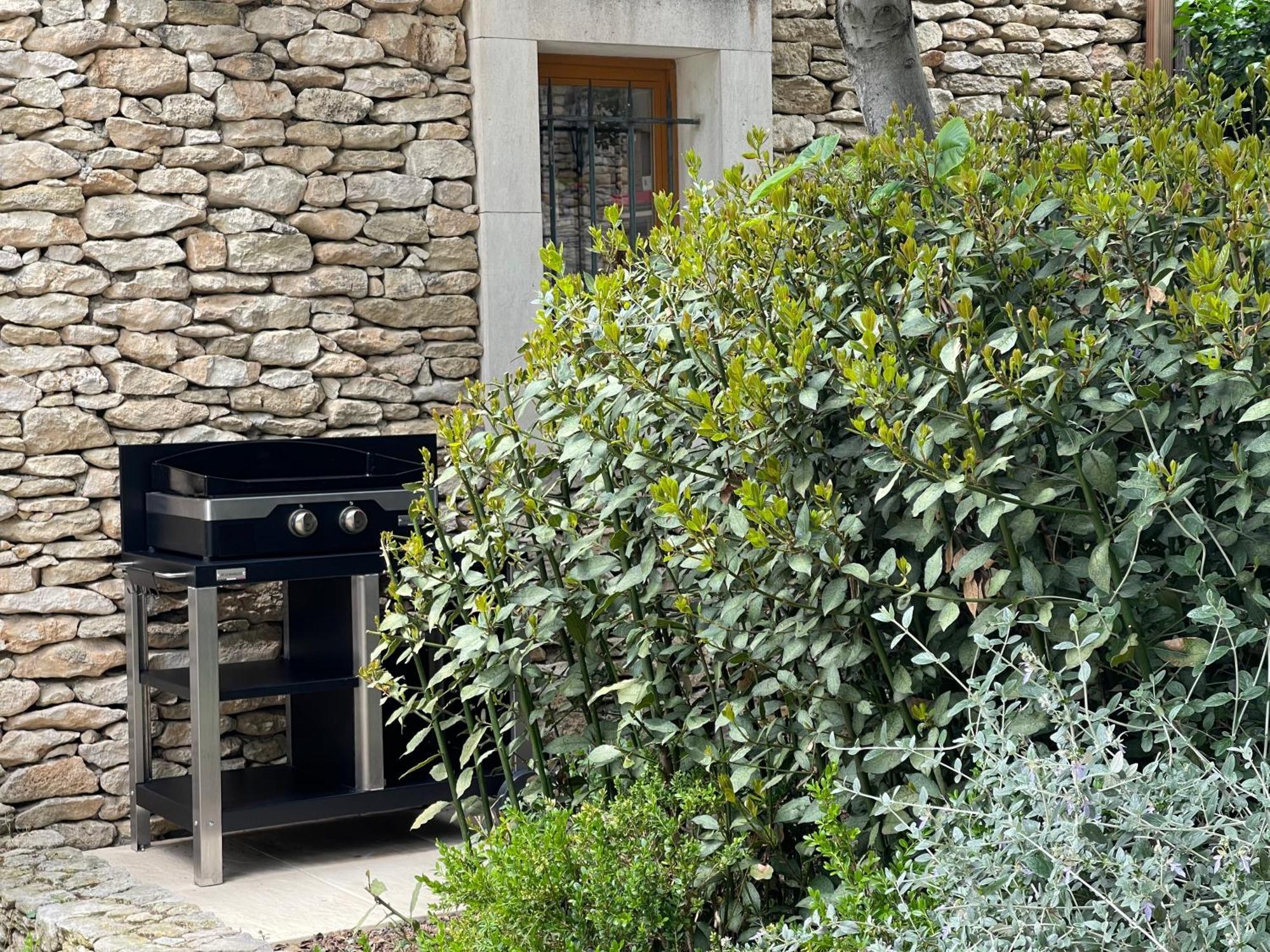 La Villa Baronnette Cabrières-dʼAvignon Екстериор снимка